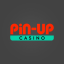 Revisão do App Pin-Up Casino