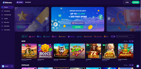 Bitdreams Casinos Homepage